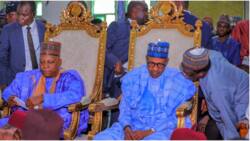 Photos emerge as Buhari, VP Shettima, Governors, Dangote, others attend wedding of Zulum’s son in Borno