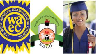 5 UK universities that Nigerians can apply to with just C6 in WAEC/NECO English, no need for IELTS and TOEFL