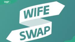 Top 20 best episodes of Wife Swap to relive the craziest moments