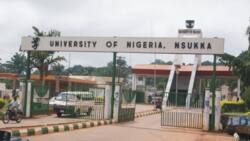 University rankings by subject 2023: List of Nigerian varsities ranked among world's best