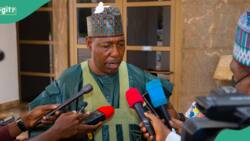 Jubilation as Gov Zulum awards university scholarships to 37 construction workers in Borno