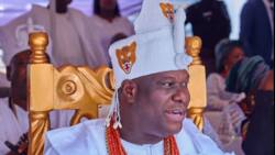 Apprehension as fire razes part of Ooni of Ife’s palace, aide shares details