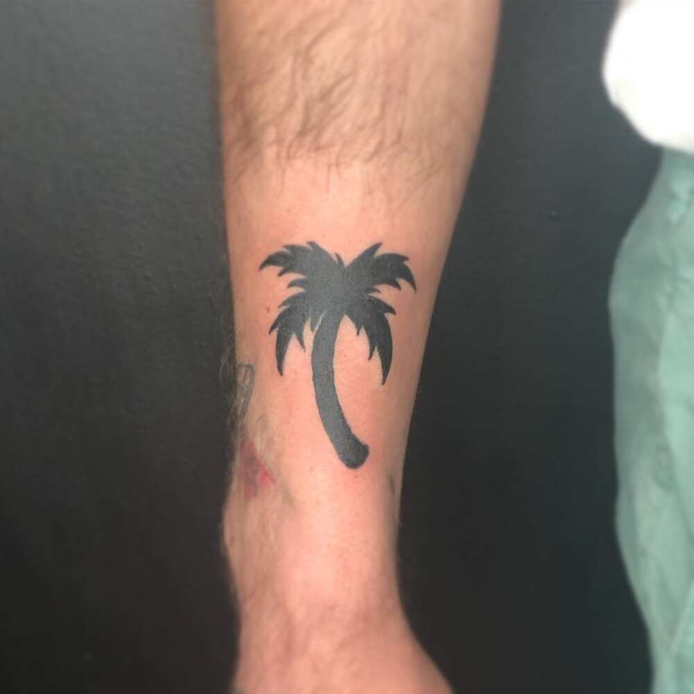 palm tree tattoo design