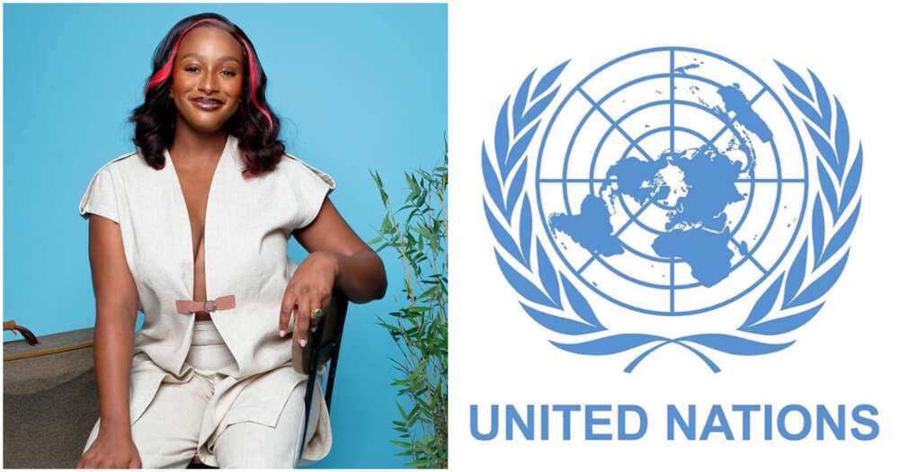 DJ Cuppy UN speech. DJ Cuppy UN speech.