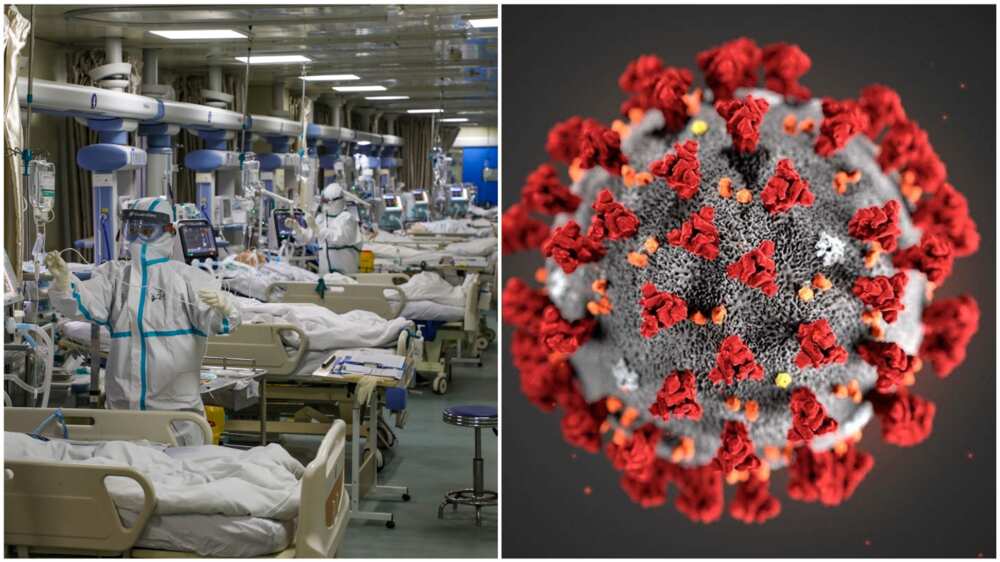 A collage of showing a Covid-19 isolation centre and a picture of the virus. Photo source: Thailand Medical Services
