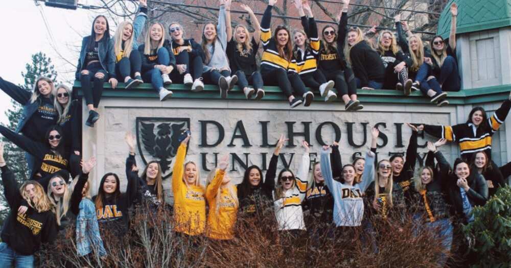 Dalhousie University students Dalhousie University students