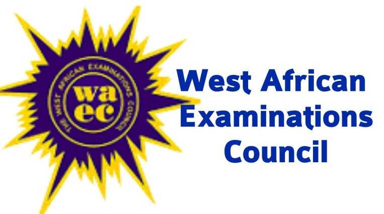 WAEC result 2019