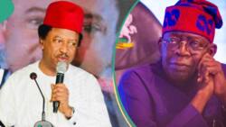 Ana Mulkin 'Yan Koyo: Shehu Sani Ya Jero Wadanda Ya Kamata Tinubu Ya Nada Ministoci