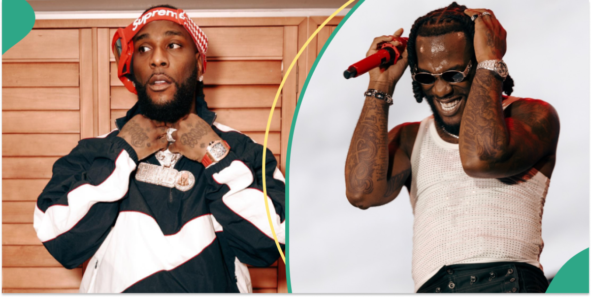 Video: Watch the moment Burna Boy asked his fans to undress at concert