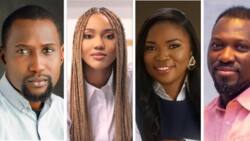 Solape Akinpelu, Tomi Solanke, others on Legit.ng List of Most Outstanding Business Personalities in Fintech