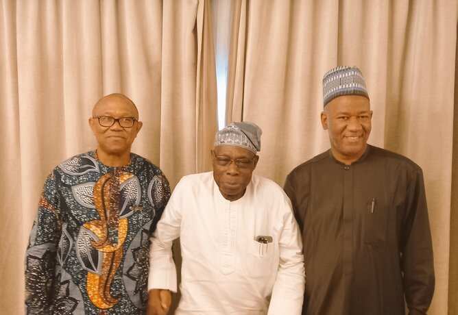 Peter Obi/Obasanjo/Datti Baba-Ahmed/2023 elections/northerners