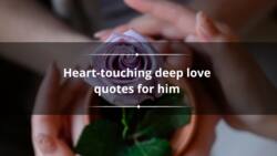 70+ heart touching deep love quotes for him that touch the soul
