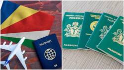 Where Nigeria stands: List of countries with top 10 most powerful passports in Africa in 2022 emerges