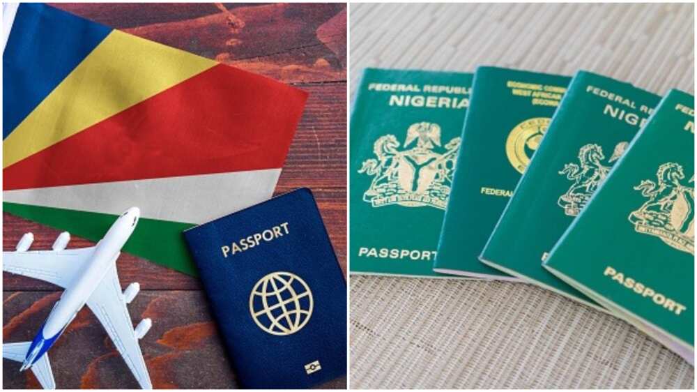 Seychelles Tops List of Most Powerful Passports in Africa in 2022, Nigeria Missing