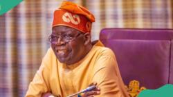 “He is running a one-man govt”: Top APC stalwarts groan as Tinubu appoints Ganduje’s son, daughter’s husband