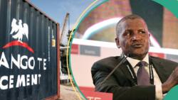 Dangote speaks on reported plan to slash cement price from N5,500 to N2,700 on October 1