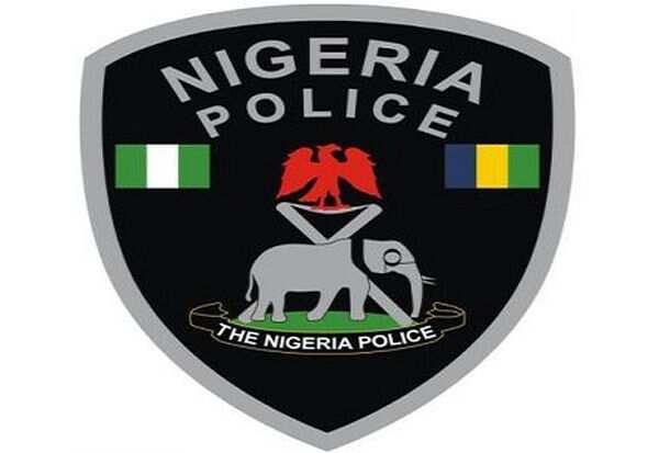 Top 10 Functions Of The Nigerian Police Force And Brief History - Legit.ng