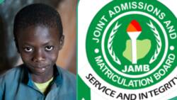 JAMB 2024: Brilliant village boy who left school 2 years ago clears UTME with very high score
