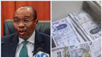 Beryl TV 5cb061f4e6d0f7a2 Important CBN Policies That Will Affect Nigerians From January as Emefiele's Tenure Winds Down 2023 economy 