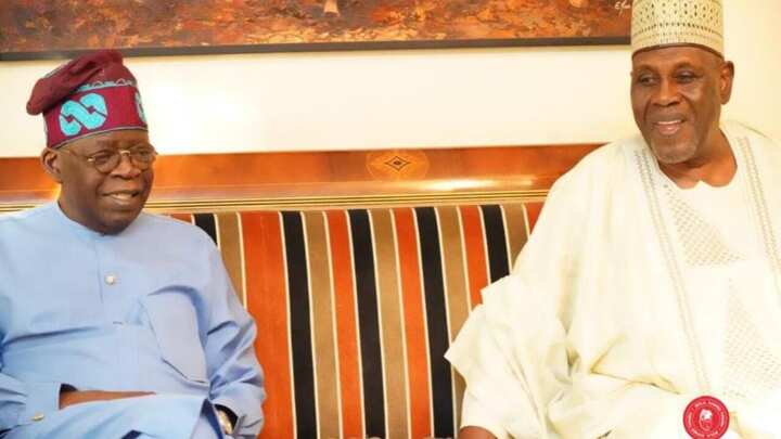 Ka kusa zama Jagaban Najeriya - Babagana Kingibe ya ba Tinubu tabbacin darewa kan kujerar Buhari a 2023