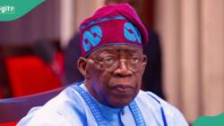 “Tinubu’s loss in 2027 will favour NNPP”, Party chieftain Oguntoyinbo explains