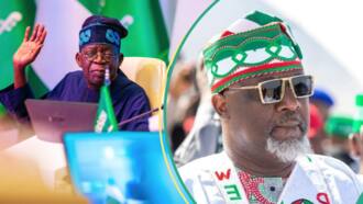 "Dino made it": Mixed reactions as ex-PDP senator shares certificate of survival from Tinubu
