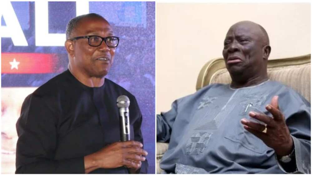 Ayo Adebanjo/Afenifere/Peter Obi/Labour Party/2023 Election