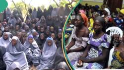 Yadda 'yan matan Chibok suka dawo da yara 34 bayan Boko Haram sun sako su