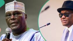 “PDP, call Wike to order”: Atiku’s camp faults demand for his suspension