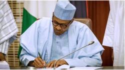 Just in: President Buhari makes fresh appointment, powerful name, position revealed
