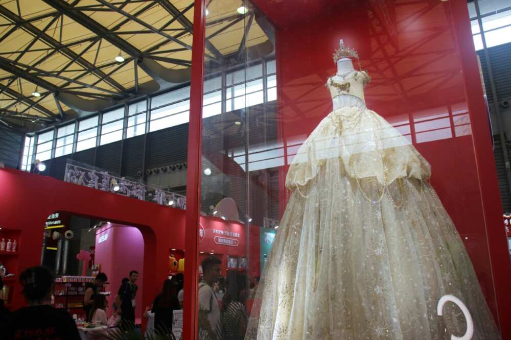 A shimmering, 1.5-metre-long golden ballgown stood pride of place at Pet Fair Asia in Shanghai