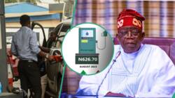 Abuja leads, Lagos 11th: list of 15 states hardest hit by Tinubu’s fuel subsidy removal in 4 months