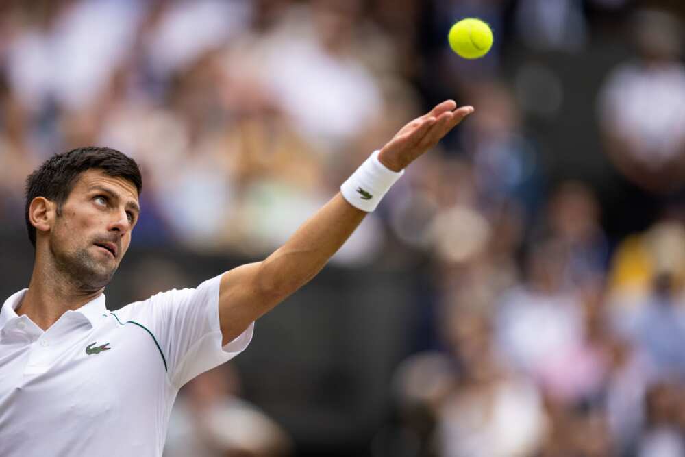 Novak Djokovic, immense champion de tennis