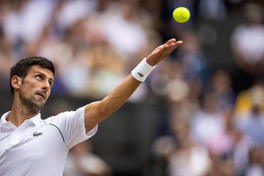 Novak Djokovic, immense champion de tennis Novak Djokovic, immense champion de tennis