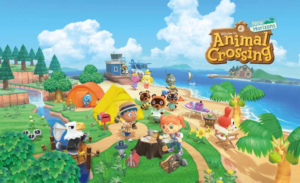 Animal Crossing island names