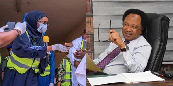 You're now member of SMAN: Shehu Sani mocks FG over N5000 stipend for Nigerians