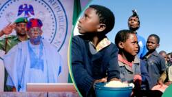 Student loan vs School feeding: Why Tinubu's N150bn scheme can't work in Nigeria, experts reveal