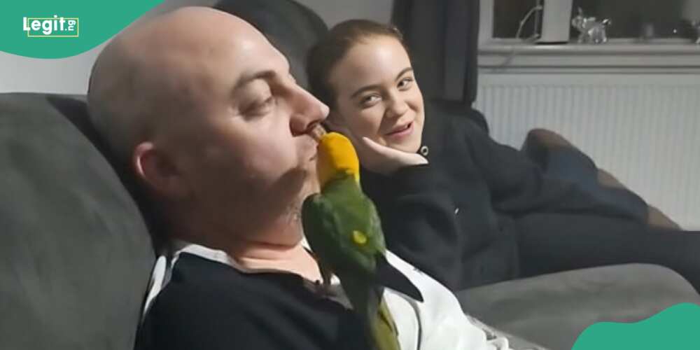 Man receives chips from parrot