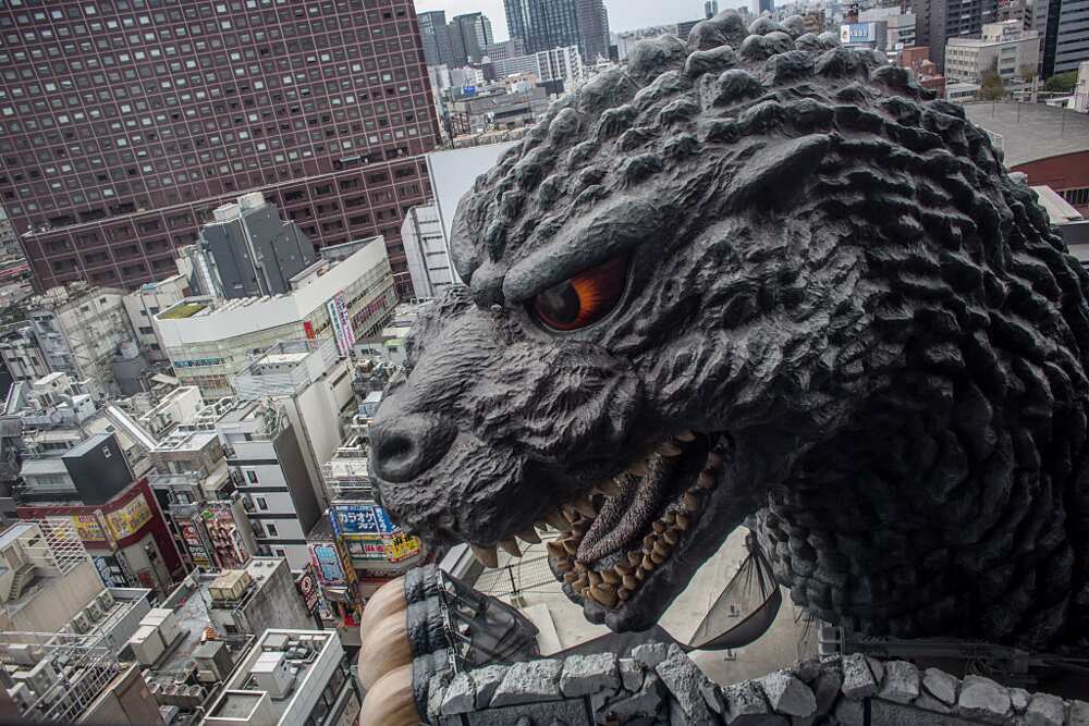 Godzilla vs Kong: monstre, singe, qui sont-ils vraiment? Godzilla vs Kong: monstre, singe, qui sont-ils vraiment?