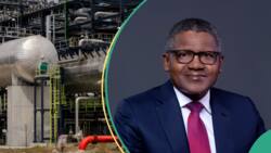 Cheap fuel is here as Dangote Refinery finally commences sale of petroleum products