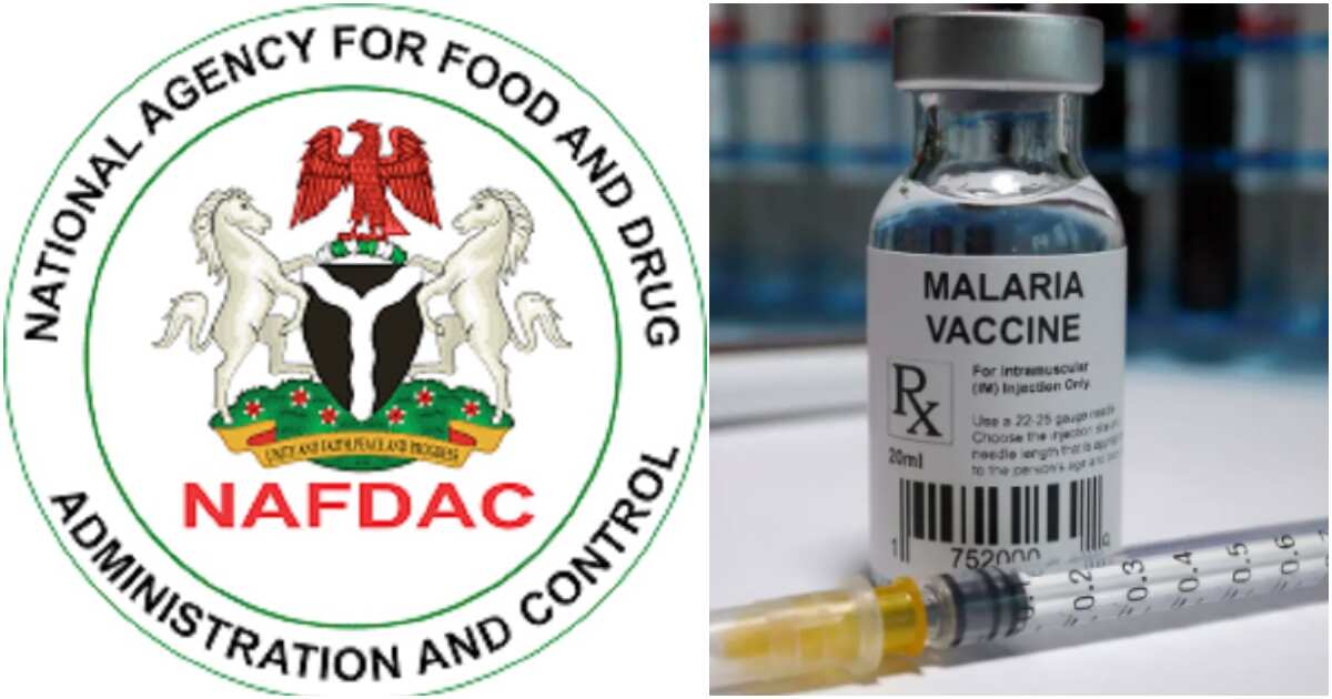 Like Ghana, NAFDAC Approves R21 Malaria Vaccine For Nigeria - Legit.ng