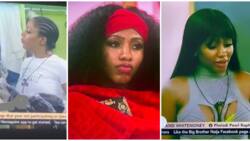 BBNaija All Stars: Nigerians react to number of wigs Mercy took to the show