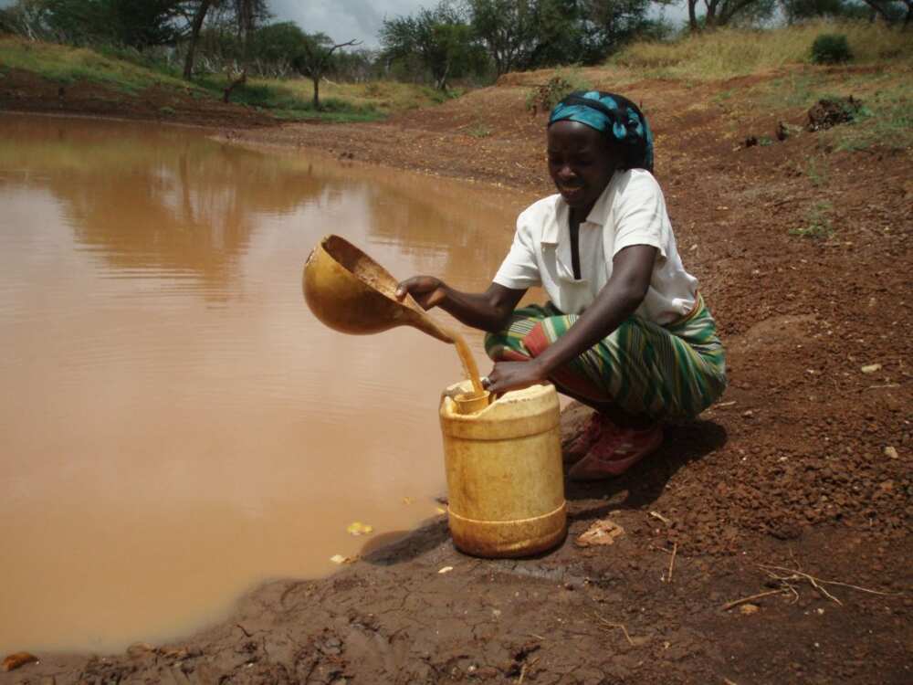10 points on importance of water 10 points on importance of water