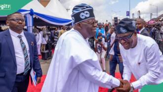 BREAKING: Tinubu sacks Wike’s ally after protests, appoints replacement