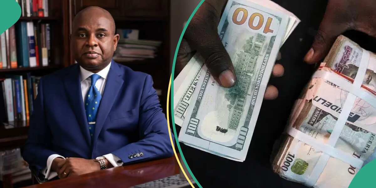 Ex-CBN deputy gov Moghalu reveals to Tinubu how to make naira stronger stronger