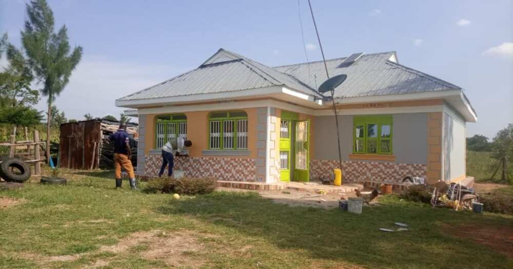 Kenyan Woman Dumped by Hubby Builds Beautiful Home, Rentals after Hustling as Okada Rider