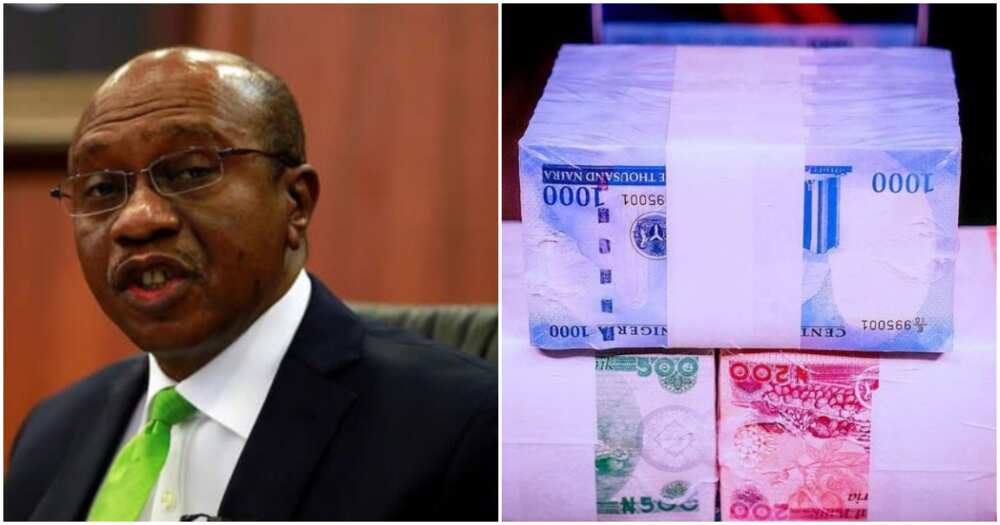 Civil Society Organisation, CSO, Concerned Nigerians, CN, the Governor of Central Bank of Nigeria, (CBN), Godwin Emefiele, old naira notes, Nigerian Senate