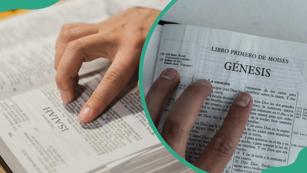 Which is the shortest verse in the Bible? Which is the shortest verse in the Bible?