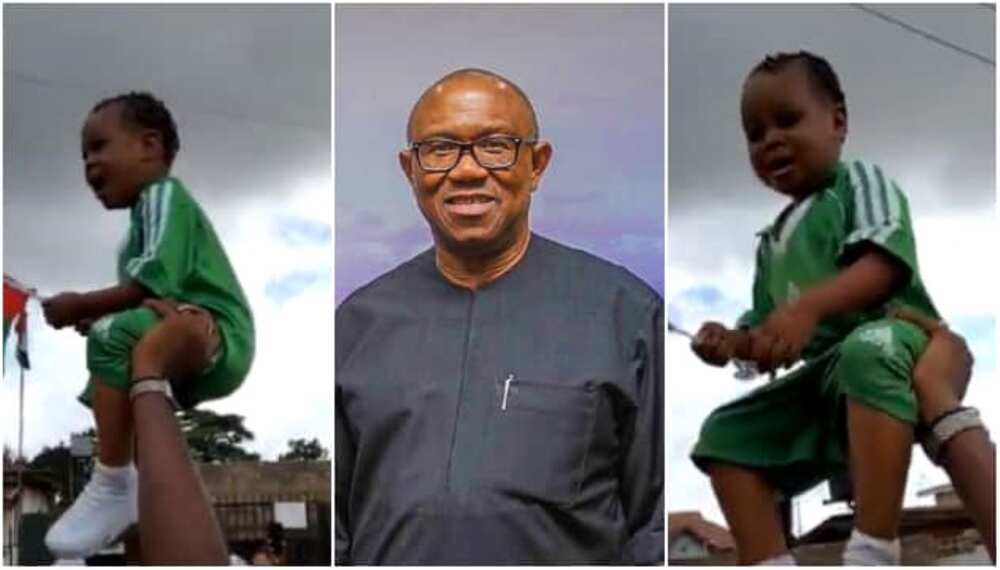 Peter Obi, Chioma Success, court, child rights activist, Wale Ojo-Lanre, 2023 presidential election, Lagos rally, Campaign