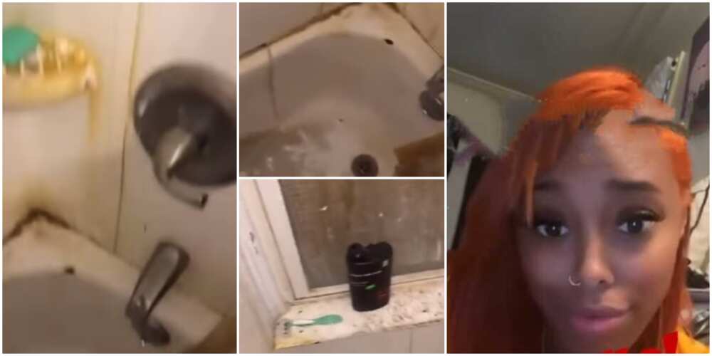 Stunned lady shares video of the bathroom of a man she had visited for the first time, causes stir